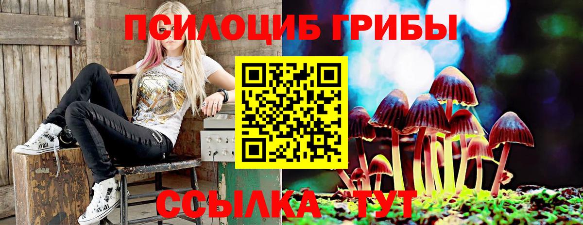 Псилоцибиновые грибы GOLDEN TEACHER  Вход с VPN  Новороссийск  Псилоцибиновые грибы ЛСД 